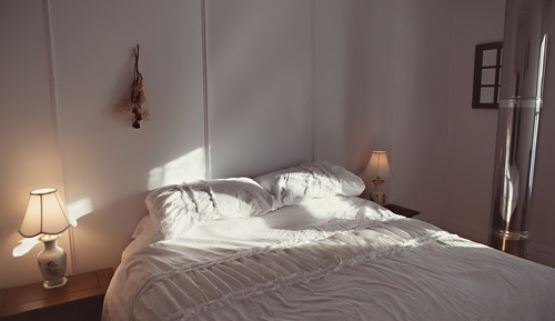 Superior Room, 1 Queen Bed (Cats on premises)