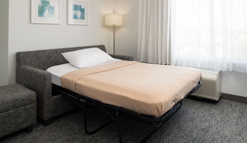 Studio, 1 King Bed with Sofa bed