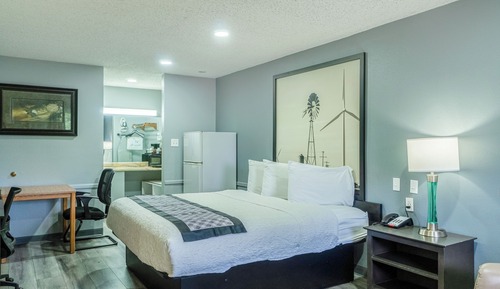 Room, 1 King Bed, Accessible, Non Smoking