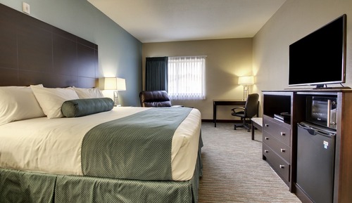 Room, 1 King Bed, Non Smoking