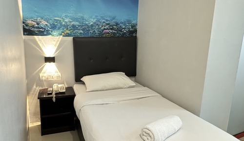 Deluxe Single Window