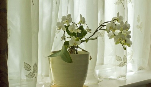 Superior Double Room, Ensuite, Garden View (Super)