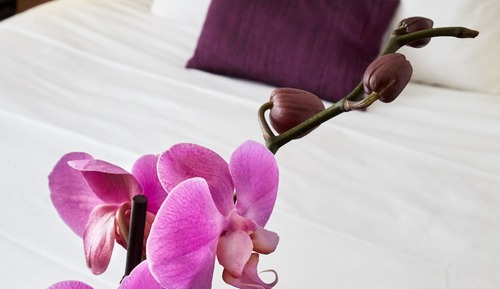 Standard Double Room, Balcony