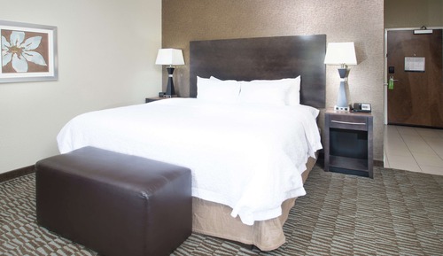 Room, 1 King Bed, Non Smoking, Refrigerator & Microwave