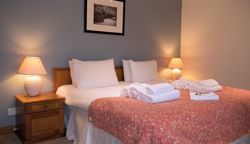 Standard Apartment, 1 Bedroom, Non Smoking, Pets Allowed