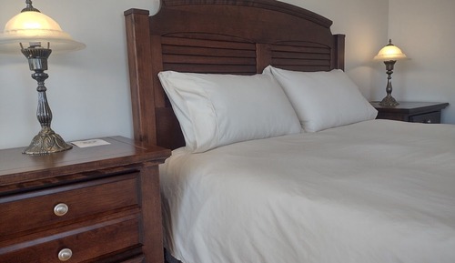 Classic Room, 1 Queen Bed (#1)