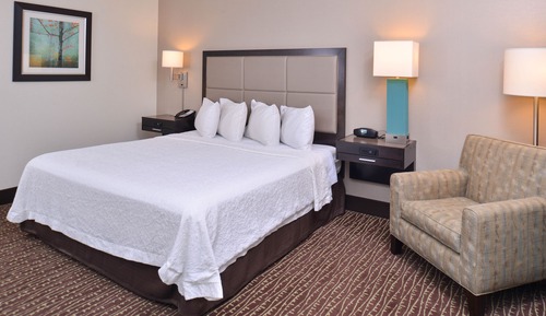 Room, 1 King Bed, Accessible, Non Smoking