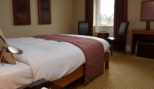 Executive Family Room