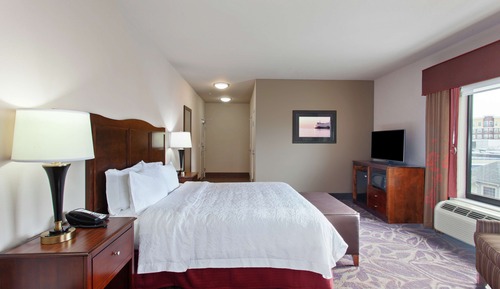 Room, 1 King Bed, Refrigerator & Microwave (Water)