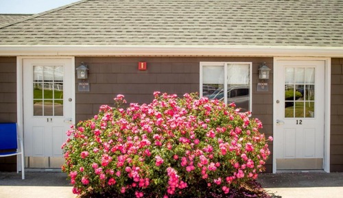 Accessible King Room