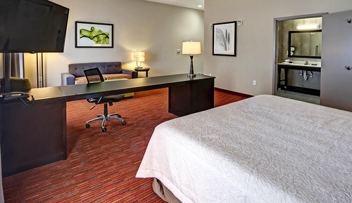 Studio, 1 King Bed, Refrigerator & Microwave