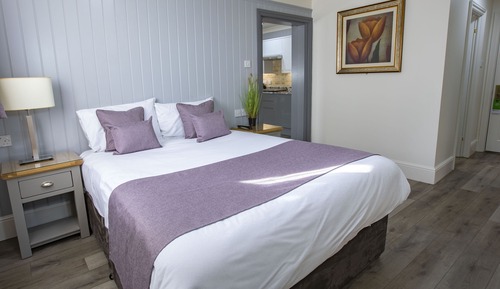 Standard Studio, 1 King Bed, Non Smoking, Kitchenette (Walk-in Shower)