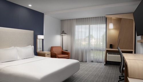 Room, 1 King Bed with Sofa bed