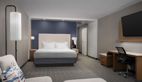 Room, 1 King Bed with Sofa bed