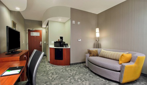 Room, 1 King Bed with Sofa bed (Mobility/Hearing Access, Roll-In Shwr)