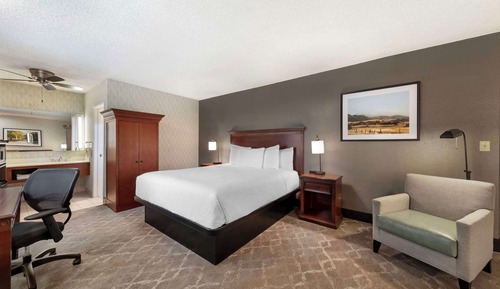 Standard Room, 1 King Bed, Non Smoking, Refrigerator & Microwave (Oversized Room;with Sofabed)