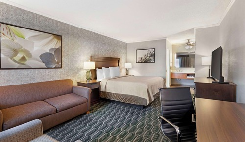 Deluxe Room, 1 King Bed, Non Smoking, Refrigerator & Microwave (with Sofabed)