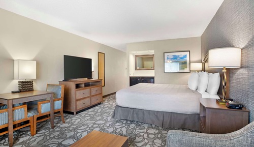 Standard Room, 1 King Bed, Accessible, Non Smoking (with Sofabed)