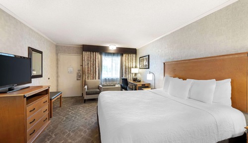 Standard Room, 1 King Bed, Smoking, Refrigerator & Microwave