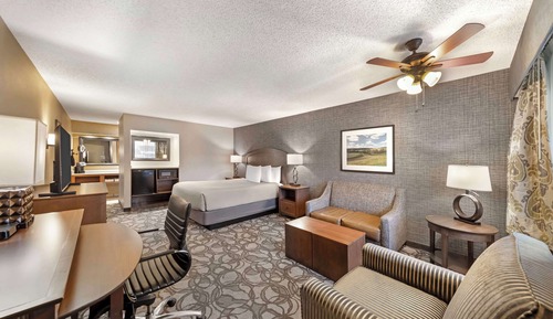 Superior Room, 1 King Bed, Non Smoking, Jetted Tub (Oversized Room;with Sofabed)