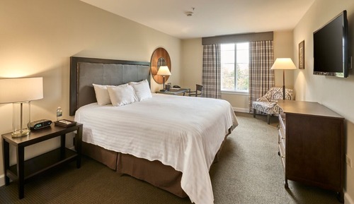 Premier Room, 1 King Bed