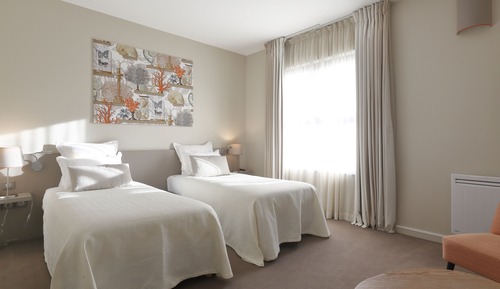 Superior Twin Room (Farmhouse View)