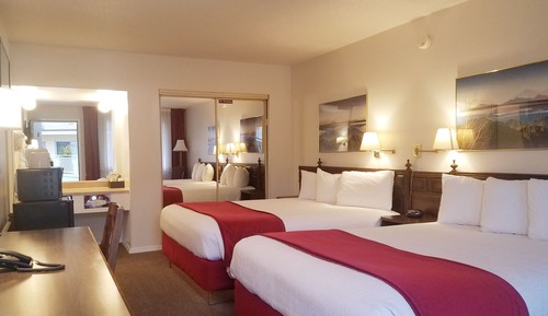 Standard Double Room (No Pets Allowed)