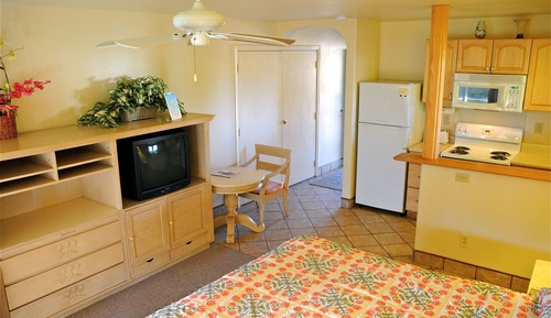 Standard Room, 1 King Bed, Kitchen