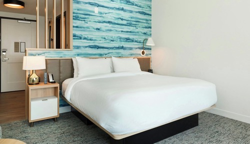 Studio, 1 King Bed with Sofa bed