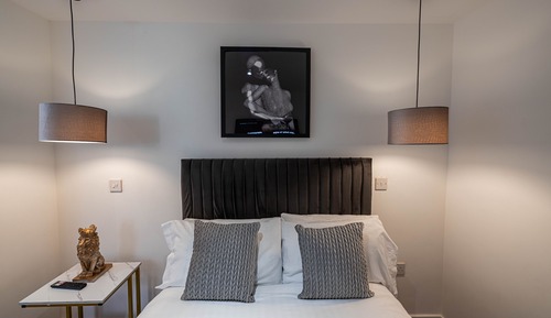 Superior Apartment, Hot Tub, City View (Apt 2)