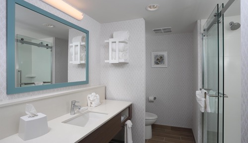 Room, 1 King Bed, Refrigerator