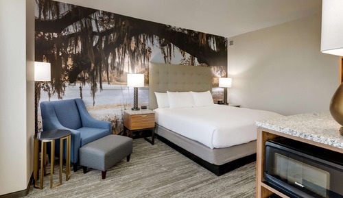 Room, 1 King Bed with Sofa bed (Sofa Sleeper)