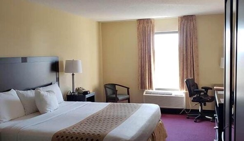 Deluxe Single Room, 1 King Bed, Accessible