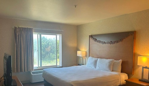 Room, 1 King Bed, Non Smoking