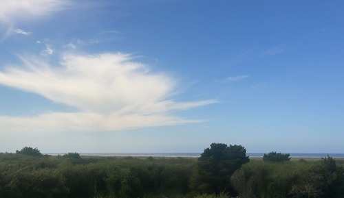 Room, 1 King Bed, Non Smoking, Ocean View