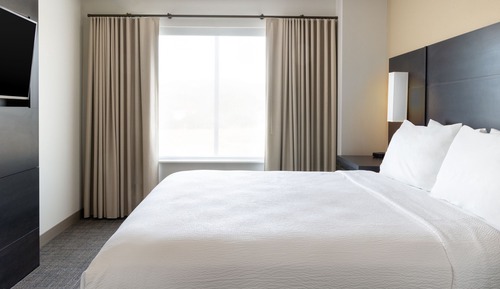 Suite, 1 King Bed with Sofa bed