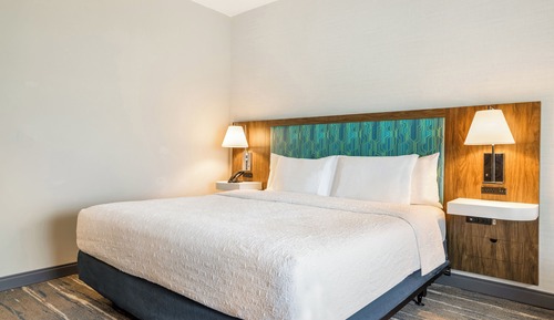 Room, 1 King Bed (Hearing)