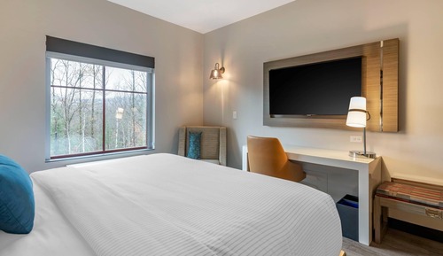 Standard Room, 1 King Bed, Non Smoking
