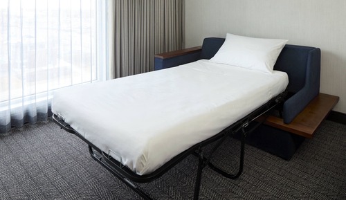 Suite, 1 King Bed with Sofa bed