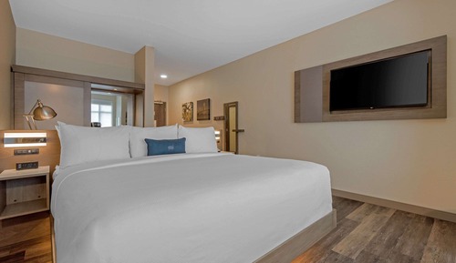 Standard Room, 1 King Bed, Non Smoking (Accessible Tub)