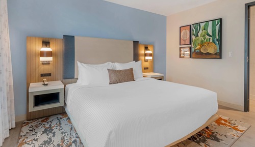 Room, 1 King Bed, Non Smoking