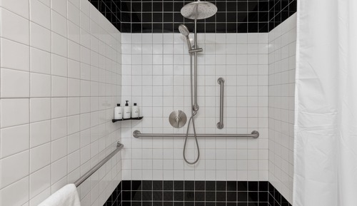 Standard King Accessible, Pet Friendly