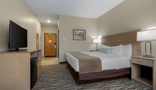 Standard Room, 1 King Bed, Non Smoking, Refrigerator & Microwave (Shower Only)