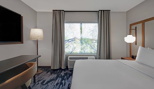 Room, 1 King Bed