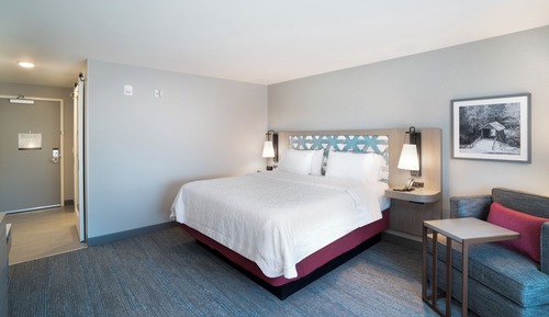 Room, 1 King Bed, Refrigerator & Microwave