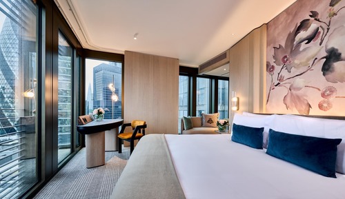 Executive Room, City View