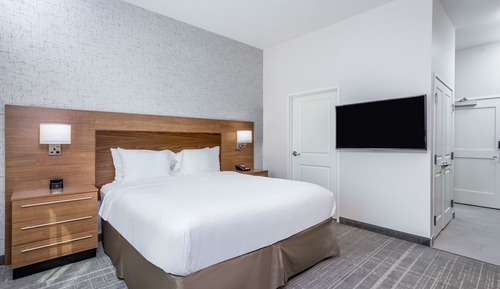 Studio, 1 King Bed with Sofa bed