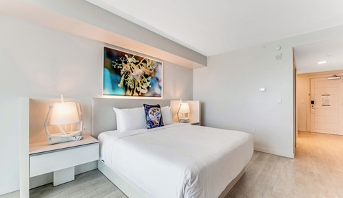 Room, 1 King Bed, Roll-in Shower, City View (No Balcony)