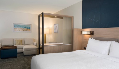 Suite, 1 King Bed with Sofa bed, Balcony (Mobility Accessible, Roll-in Shower)