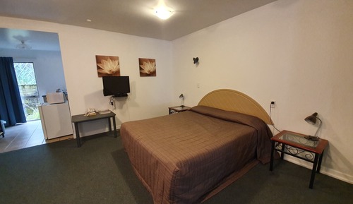 Studio, 1 King Bed, Non Smoking